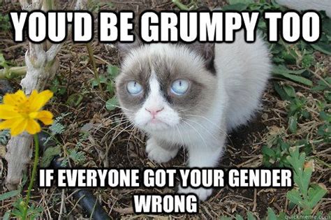 Grumpy Cat is a GIRL! | Smile Like You Mean It | Pinterest