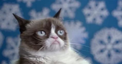 Grumpy Cat s Worst Christmas Ever   Videos   Metatube
