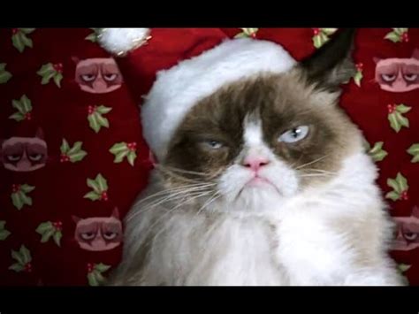 Grumpy Cat’s Worst Christmas Ever Official TRAILER  2014 ...