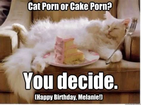 Happy Birthday Cat Memes Top 50 Funny Cats Video   YouTube