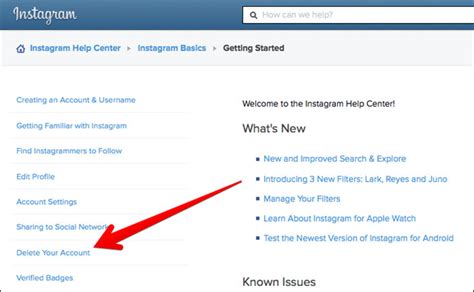 How to Delete Instagram Account from iPhone and Computer
