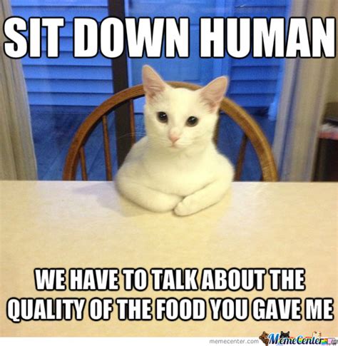 HUNGRY CAT MEMES image memes at relatably.com