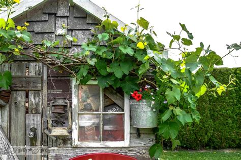If rustic garden sheds could tell stories, this one would ...