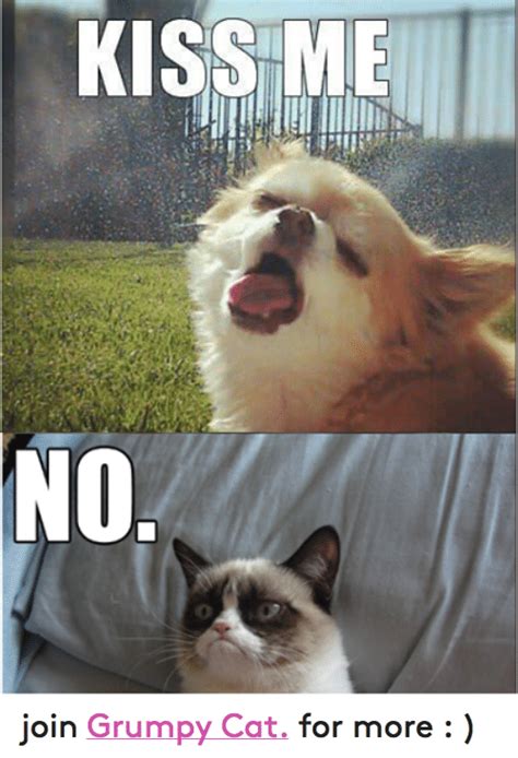 KISS ME NO Join Grumpy Cat for More | Cats Meme on SIZZLE