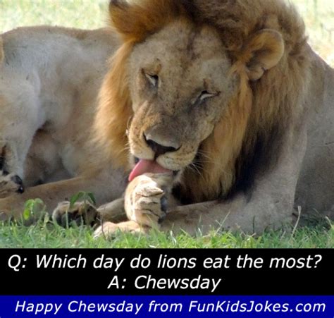 Lion Joke   What Day do Lions Eat the Most? | Fun Kids Jokes