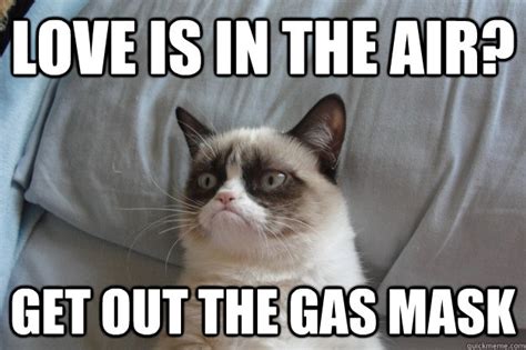 Love is in the air? Get out the gas mask   Misc   quickmeme