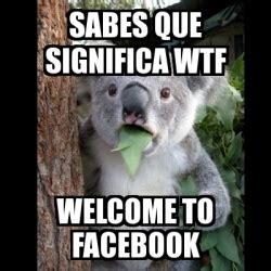 Meme Koala   sabes que significa wtf welcome to facebook ...