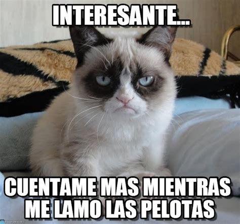 Memes En Español