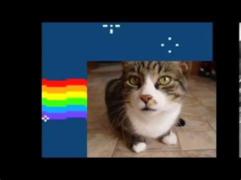 Nyan Grumpy Cat with Tuna and White   YouTube
