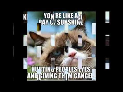 OMG best Grumpy Cat memes  in my opinion  BTW meme week ...
