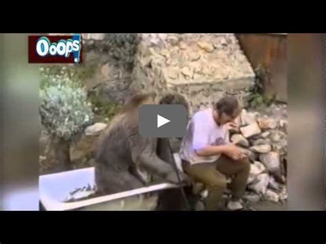Ooops YouTube Rewind 2014 – Top Funny Videos | Clipscat