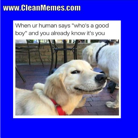 Pin by Clean Memes on Clean Memes | Pinterest | Memes