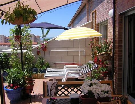 plantas para terrazas con mucho sol | Cuidar de tus ...