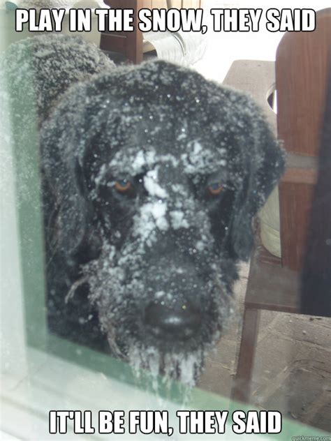 PLAY IN THE SNOW, THEY SAID IT LL BE FUN, THEY SAID   Sad ...