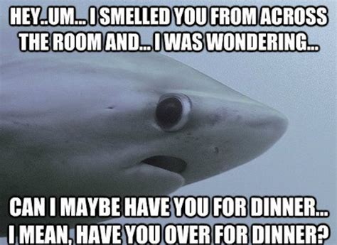 Really Funny Memes: The Shy Shark