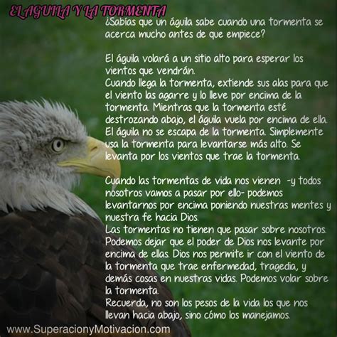 Reflexiones de Superación; El Aguila y La Tormenta ...