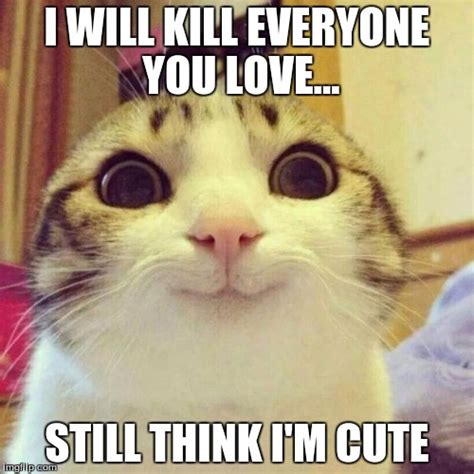 Smiling Cat Meme   Imgflip