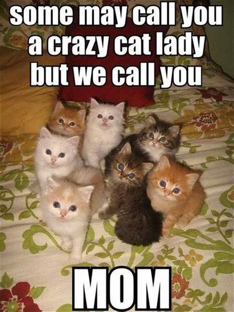 Some may call you a crazy cat lady but we call you Mom ...
