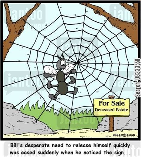 spiders webs cartoons   Humor from Jantoo Cartoons