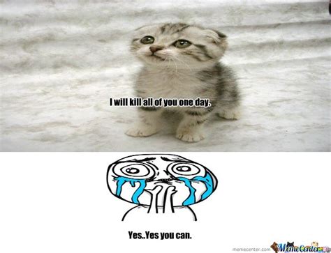 SUPER cute EVIL cat by Pranvir X129   Meme Center