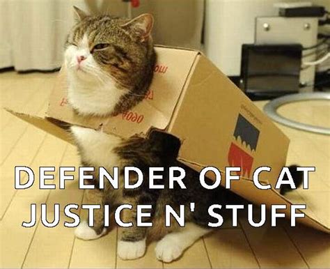 Super Silly Cats | Funny Cats   image #2806907 by Yanito ...