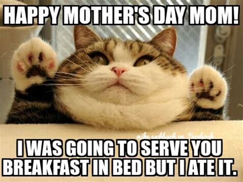 {SWEET} {FUNNY} Happy Mothers Day Memes For Friends ...