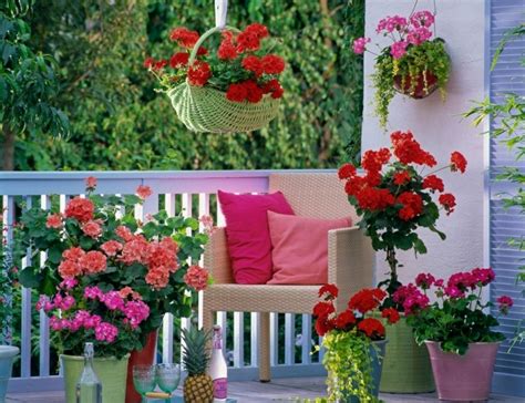 Terrazas decoradas con plantas, ideas originales