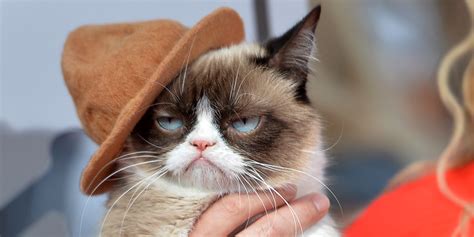 The Grumpy Cat Movie Trailer Is Here