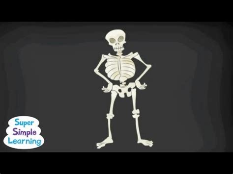 The Skeleton Dance / ViewPure