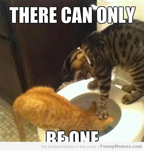 There Can Only Cat Meme   Cat Planet | Cat Planet