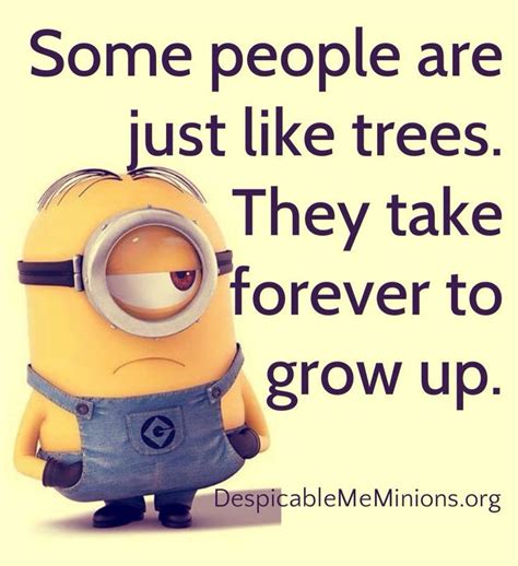Top 30 Funny Minion Memes – Quotes Words Sayings