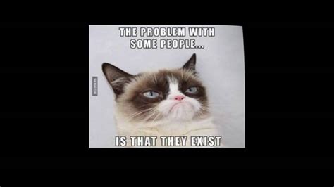 Top Ten Grumpy Cat Memes   YouTube