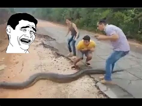 Videos graciosos: Videos de Risa 2017 Mas Chistoso Para ...