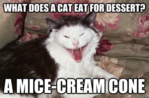 What does a cat eat for dessert? A Mice Cream cone   Bad ...