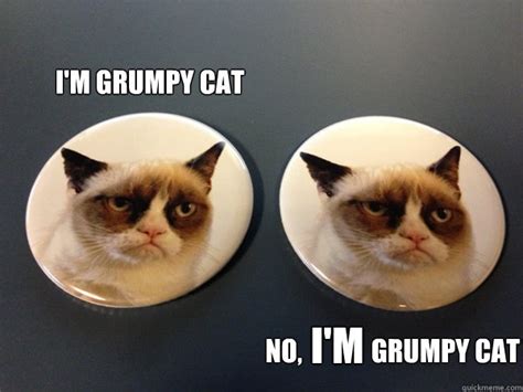 Who IS the real Grumpy Cat? | Tard The Grumpy Cat | Pinterest