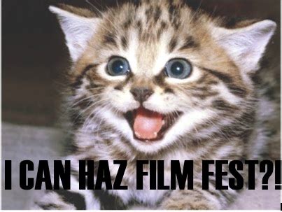 World’s First Internet Cat Video Film Festival Coming Soon ...